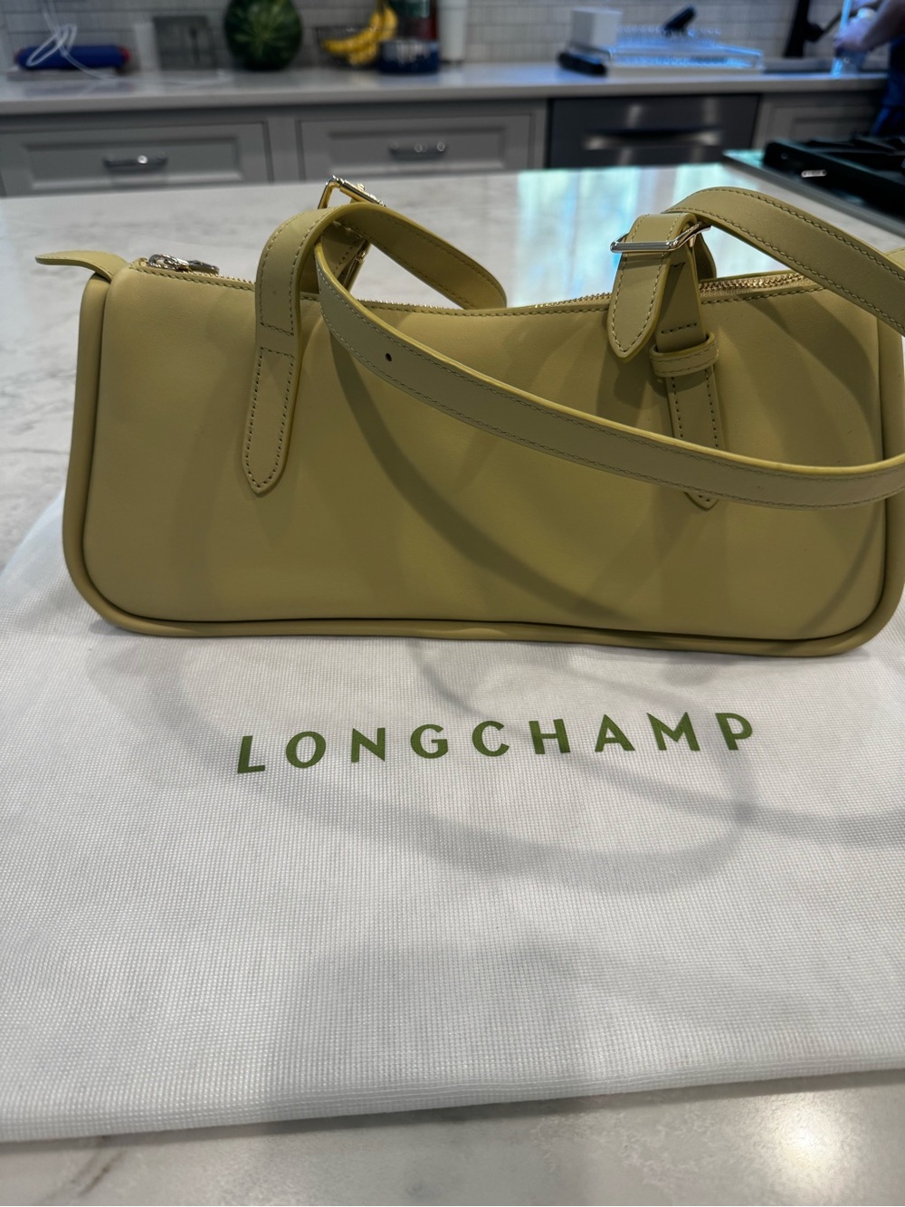 Longchamp Leather LOOONG L Shoulder Bag